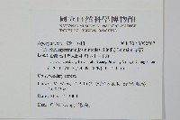 絡石藏品圖，第2張