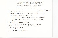 台灣佛甲草、石板菜藏品圖，第2張