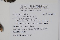 破布烏藏品圖，第2張