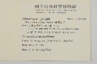臺灣及己藏品圖，第2張