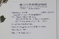臺灣附地草藏品圖，第2張