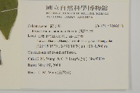 佩羅特木藏品圖，第2張