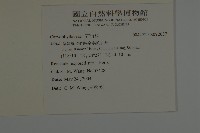 登錄號:S092637藏品圖，第2張