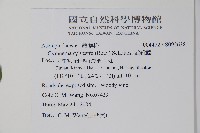 武靴藤藏品圖，第2張