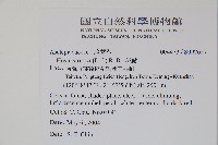 毬蘭藏品圖，第2張