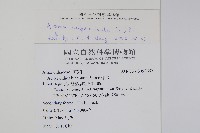 蔓雞冠、絹毛莧藏品圖，第2張