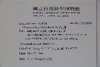 呂宋莢迷藏品圖，第2張