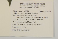 臺灣及己藏品圖，第2張