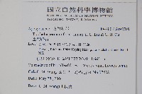 臺灣絡石藏品圖，第2張
