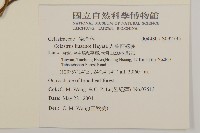 大葉南蛇藤藏品圖，第2張