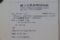 臺灣蝴蝶戲珠花、臺灣蝴蝶花藏品圖，第2張