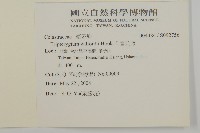 雷公藤藏品圖，第2張