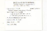 白花牽牛藏品圖，第2張