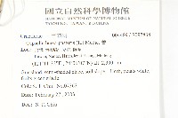 薺藏品圖，第2張
