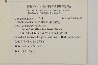 網脈繁縷藏品圖，第2張