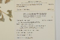 馬氏濱藜藏品圖，第2張