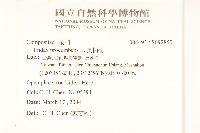 長柄菊藏品圖，第2張