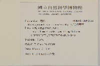 大花咸豐草藏品圖，第2張
