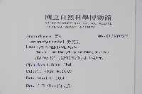 野莧菜藏品圖，第2張