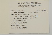 馬氏濱藜藏品圖，第2張
