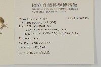 繁縷藏品圖，第2張