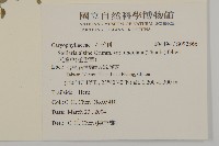 天蓬草、雀舌草藏品圖，第2張