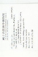 黑果馬交兒藏品圖，第2張