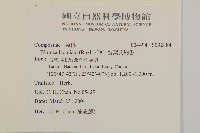 裂葉艾納香藏品圖，第2張