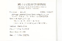 臺灣青莢葉藏品圖，第2張