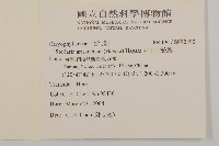阿里山繁縷藏品圖，第2張