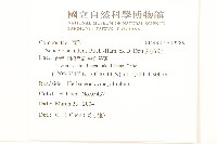 蔓黃菀藏品圖，第2張