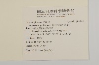 無心菜、鵝不食草藏品圖，第2張