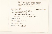 鼠麴舅藏品圖，第2張