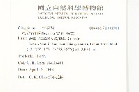 焊菜藏品圖，第2張