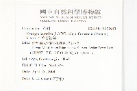 台灣黃鵪菜藏品圖，第2張