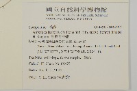 臺灣鬼督郵藏品圖，第2張