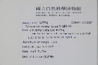 臺灣附地草藏品圖，第2張