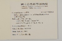 天蓬草、雀舌草藏品圖，第2張