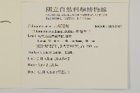 臺灣及己藏品圖，第2張