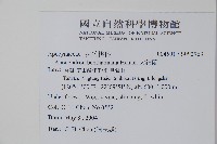 大錦蘭藏品圖，第2張