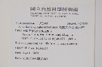 瓜葉馬兜鈴、青木香藏品圖，第2張