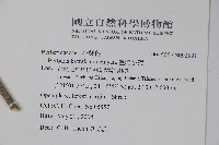 臺灣小蘗藏品圖，第2張