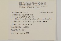 繁縷藏品圖，第2張