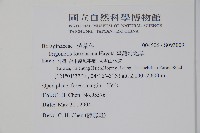 臺灣附地草藏品圖，第2張