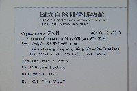 紅子莢迷藏品圖，第2張