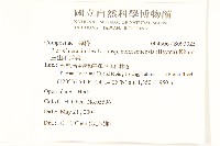 玉山毛蓮菜藏品圖，第2張