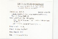 臺灣馬桑藏品圖，第2張