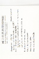 小葉胡頹子藏品圖，第2張
