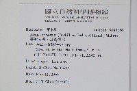 臺灣赤楊、臺灣榿木藏品圖，第2張