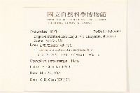 福山氏飛蓬藏品圖，第2張